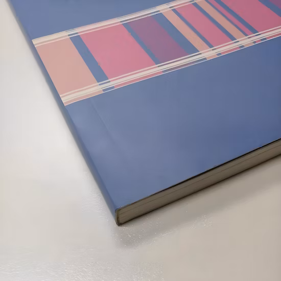 3 in 1 Fashion Children′ S School Bag Set Polyester Outdoor Hiking Hiking Backpack Wholesale Customized Printing Leisure Backpack.